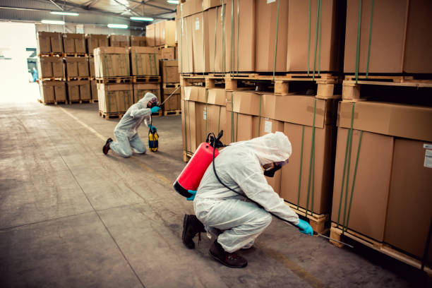 Best Pest Prevention Services  in Norman, OK