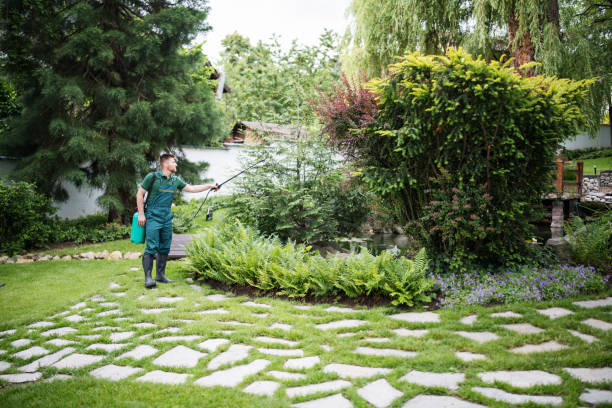 Best Best Pest Control Companies  in Norman, OK