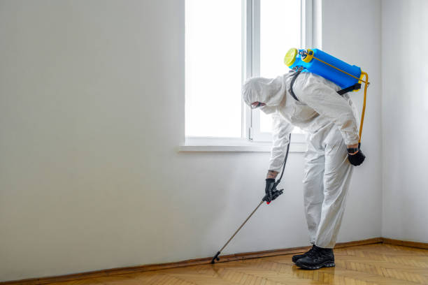 Flea Control Services in Norman, OK