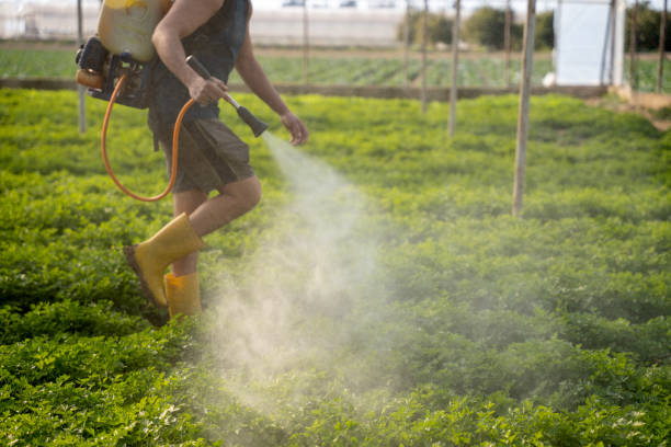 Pest Control for Restaurants in Norman, OK