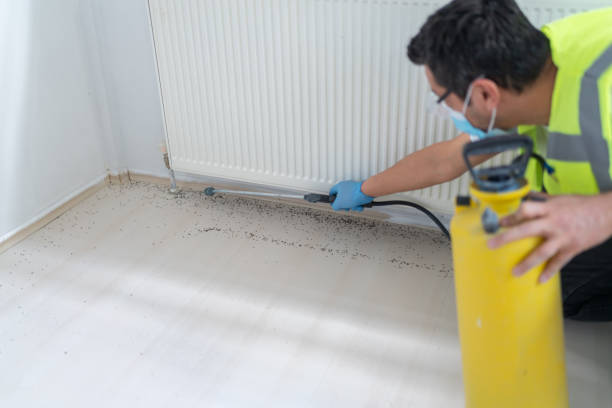 Best Affordable Pest Control Services  in Norman, OK