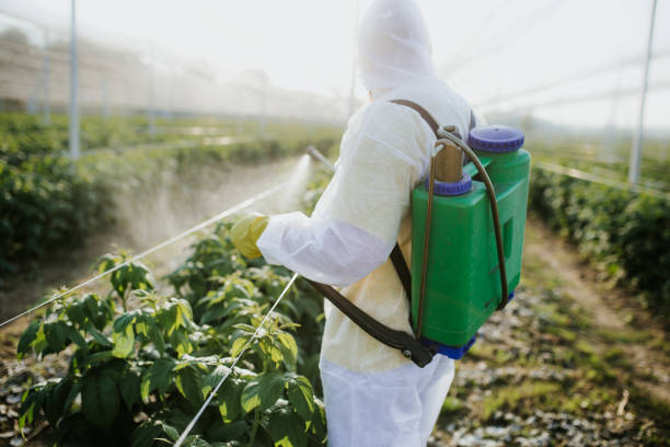Best Best Pest Control Companies  in Norman, OK